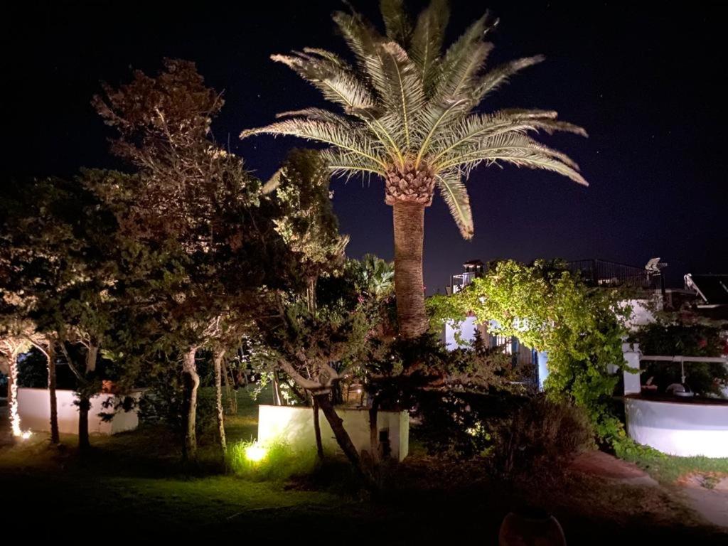 Banti Garden Ξενοδοχείο Ταρίφα Εξωτερικό φωτογραφία