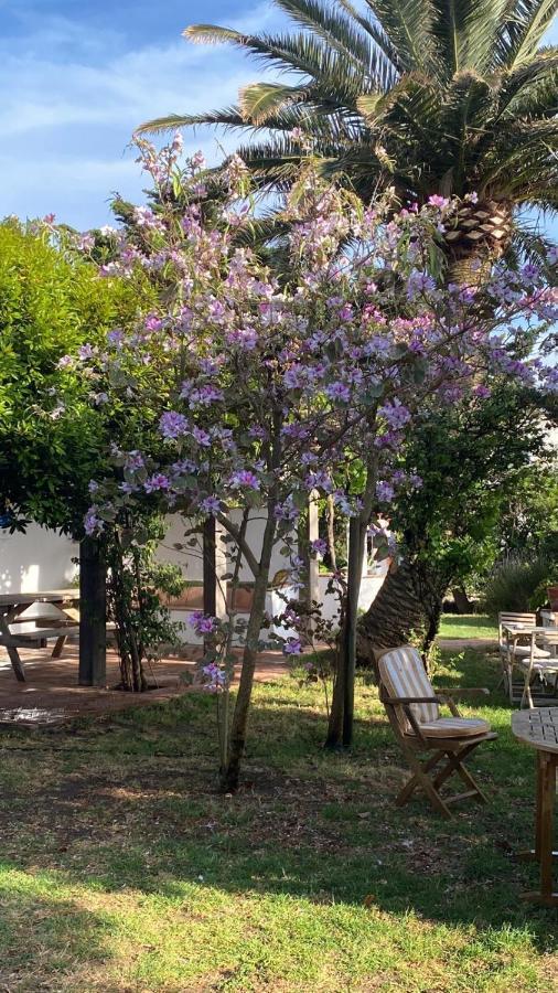 Banti Garden Ξενοδοχείο Ταρίφα Εξωτερικό φωτογραφία